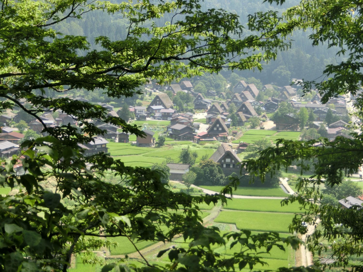 【日本岐阜縣白川鄉】一生必來一次媲美童話故事的合掌村(景點、交通、美食、住宿攻略) - 第12張圖