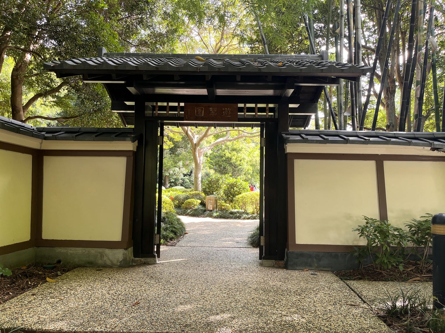 布里斯本庫薩山之旅Mount Coot-tha 市區看夜景最佳景點!特色植物園一日遊推薦 - 第11張圖 Mount Coot-Tha