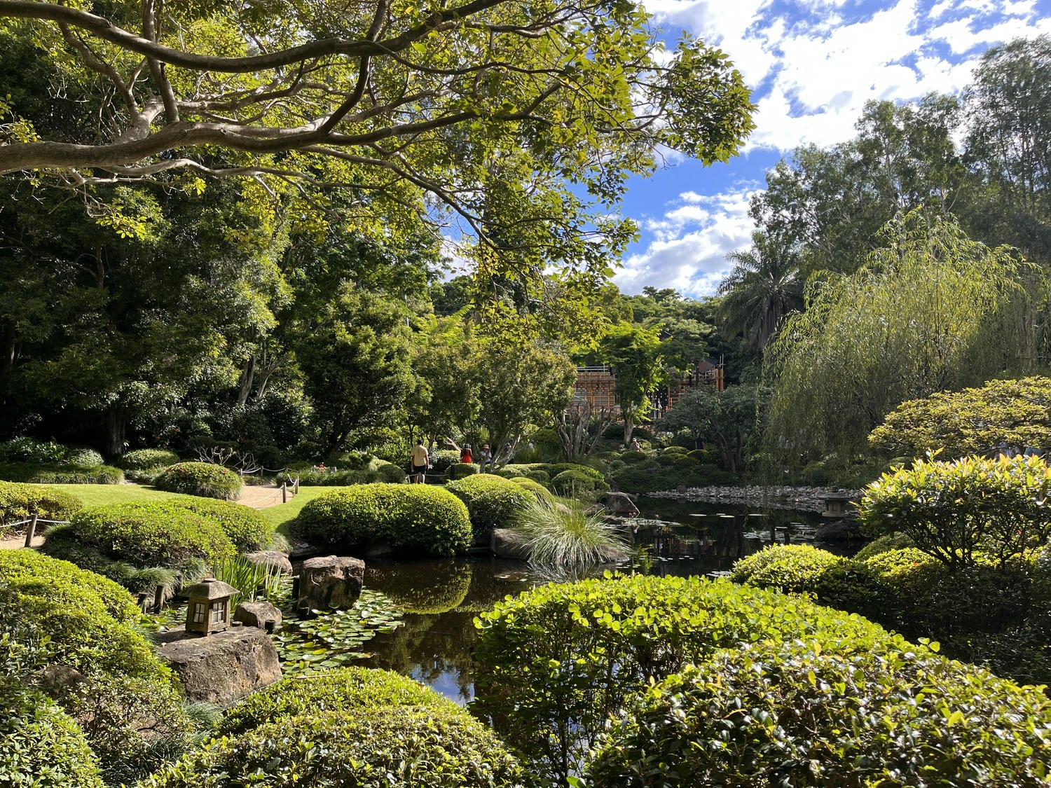 布里斯本庫薩山之旅Mount Coot-tha 市區看夜景最佳景點!特色植物園一日遊推薦 - 第12張圖 Mount Coot-Tha