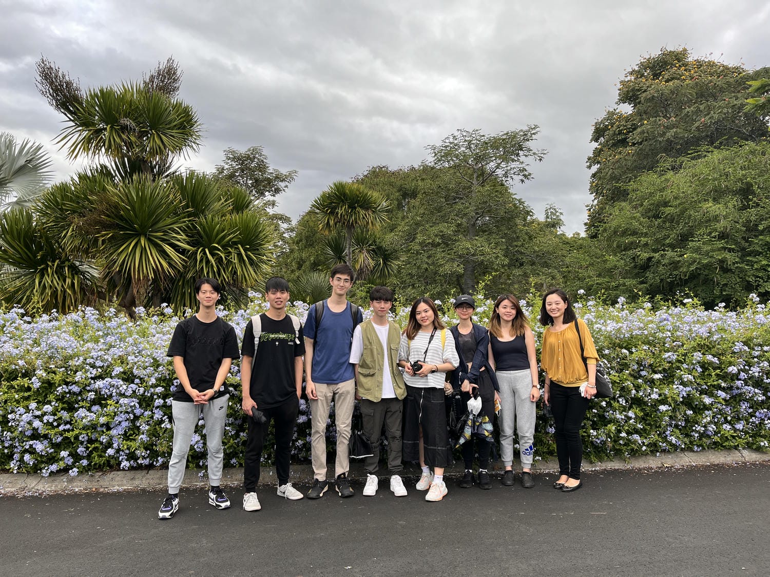 布里斯本庫薩山之旅Mount Coot-tha 市區看夜景最佳景點!特色植物園一日遊推薦 - 第13張圖