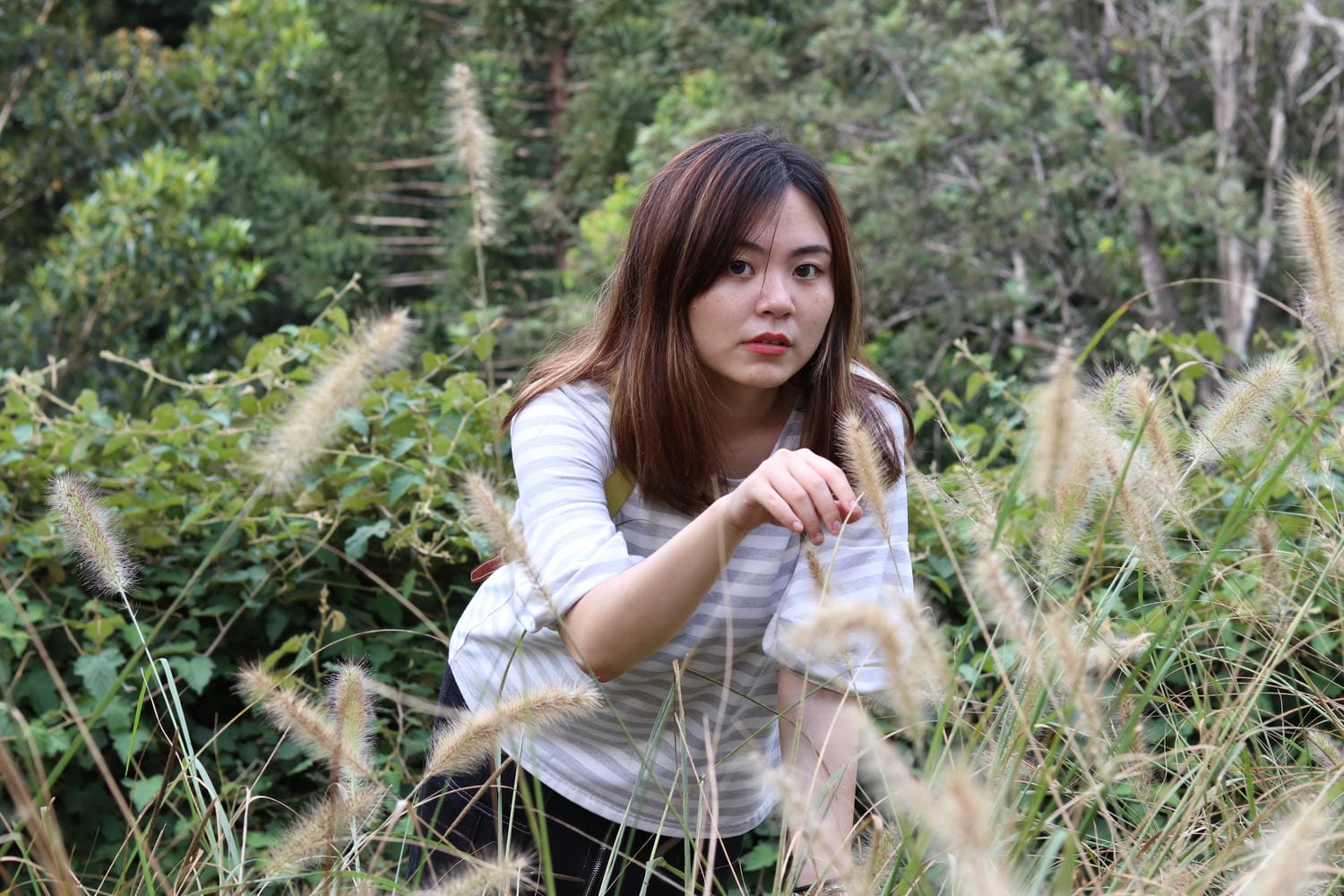 布里斯本庫薩山之旅Mount Coot-tha 市區看夜景最佳景點!特色植物園一日遊推薦 - 第14張圖 Mount Coot-Tha