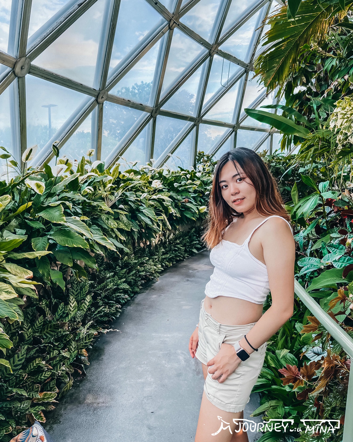 布里斯本庫薩山之旅Mount Coot-tha 市區看夜景最佳景點!特色植物園一日遊推薦 - 第5張圖