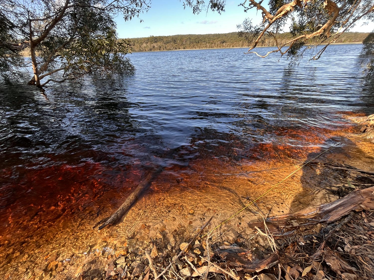North Stradbroke Island景點介紹Brown Lake
