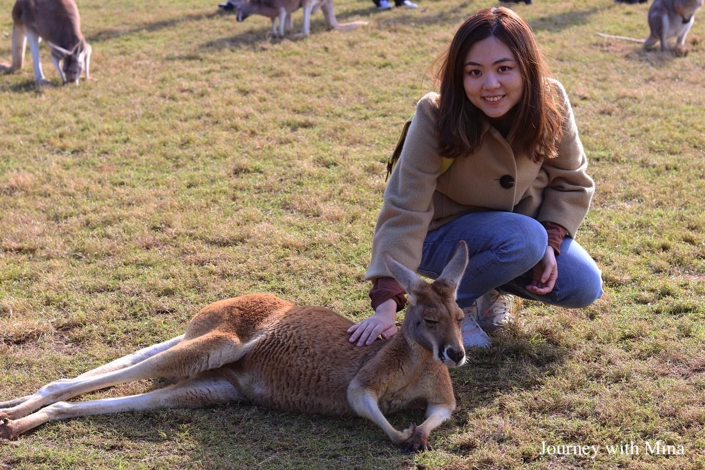 龍柏動物園（Lone Pine Sanctuary）
