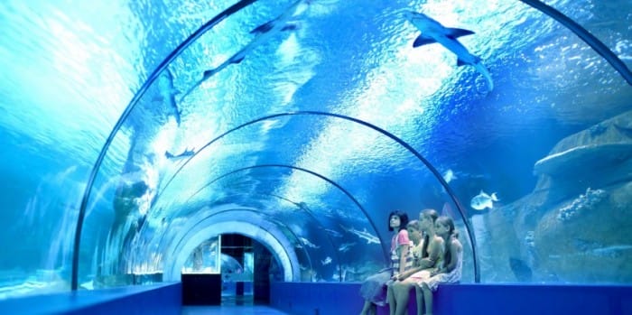 凱恩斯水族館Cairns Aquarium
