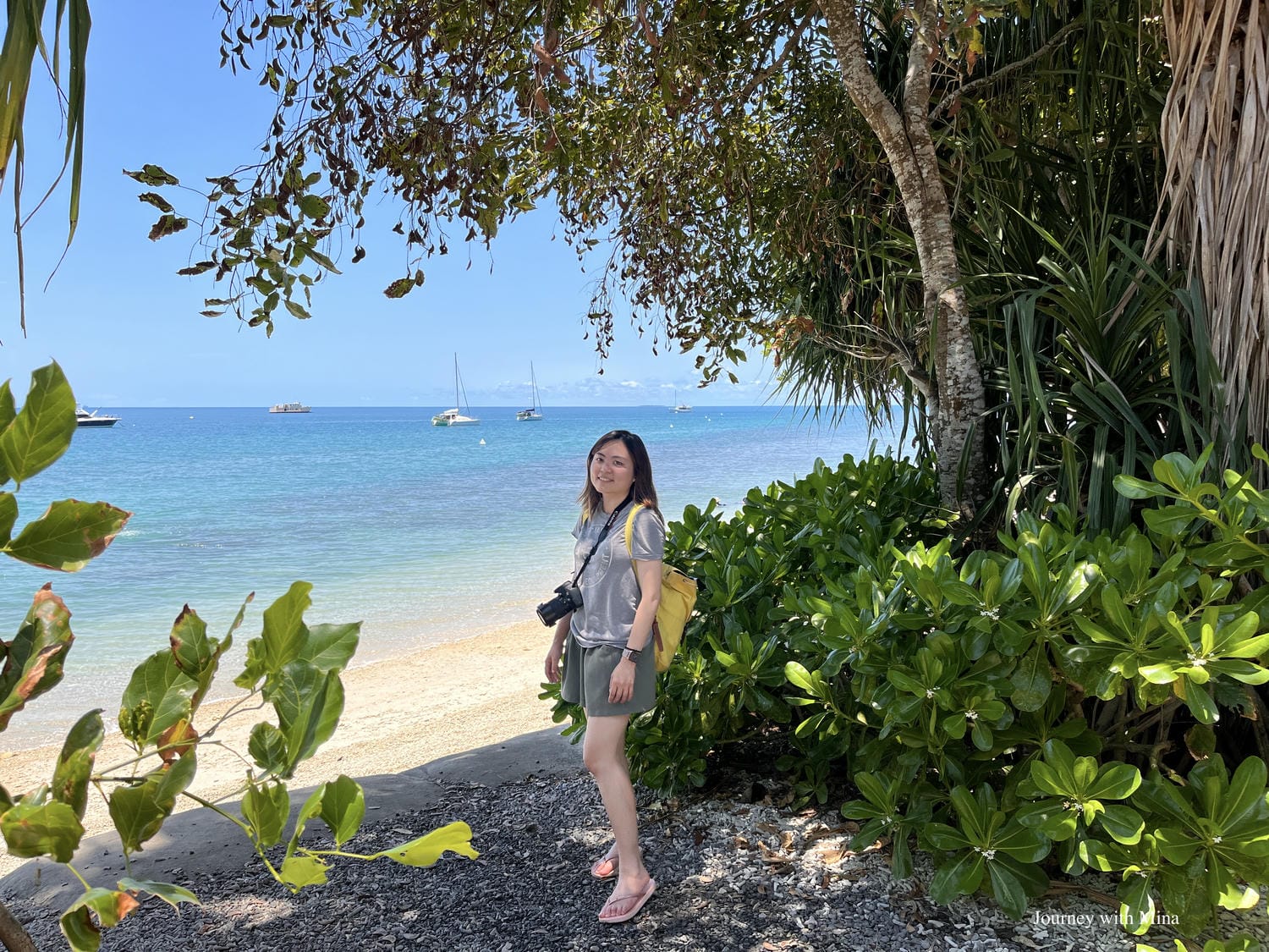 【大堡礁潛水】凱恩斯翡翠島 Fitzroy Island 體驗世界級珊瑚浮潛!超完整遊記攻略 - 第23張圖 翡翠島fitzroy island