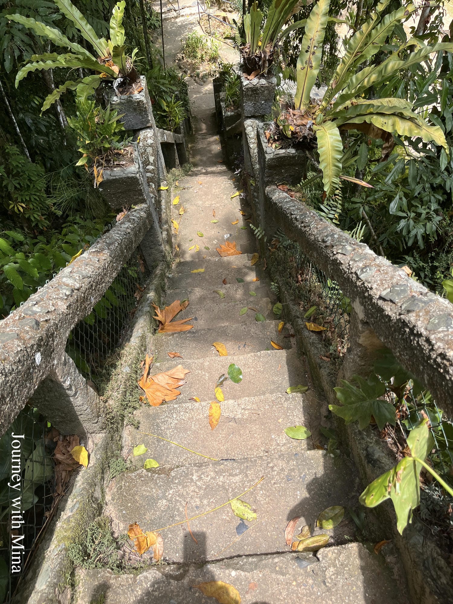 凱恩斯天空之城-帕羅尼拉公園 Cairns Paronella Park