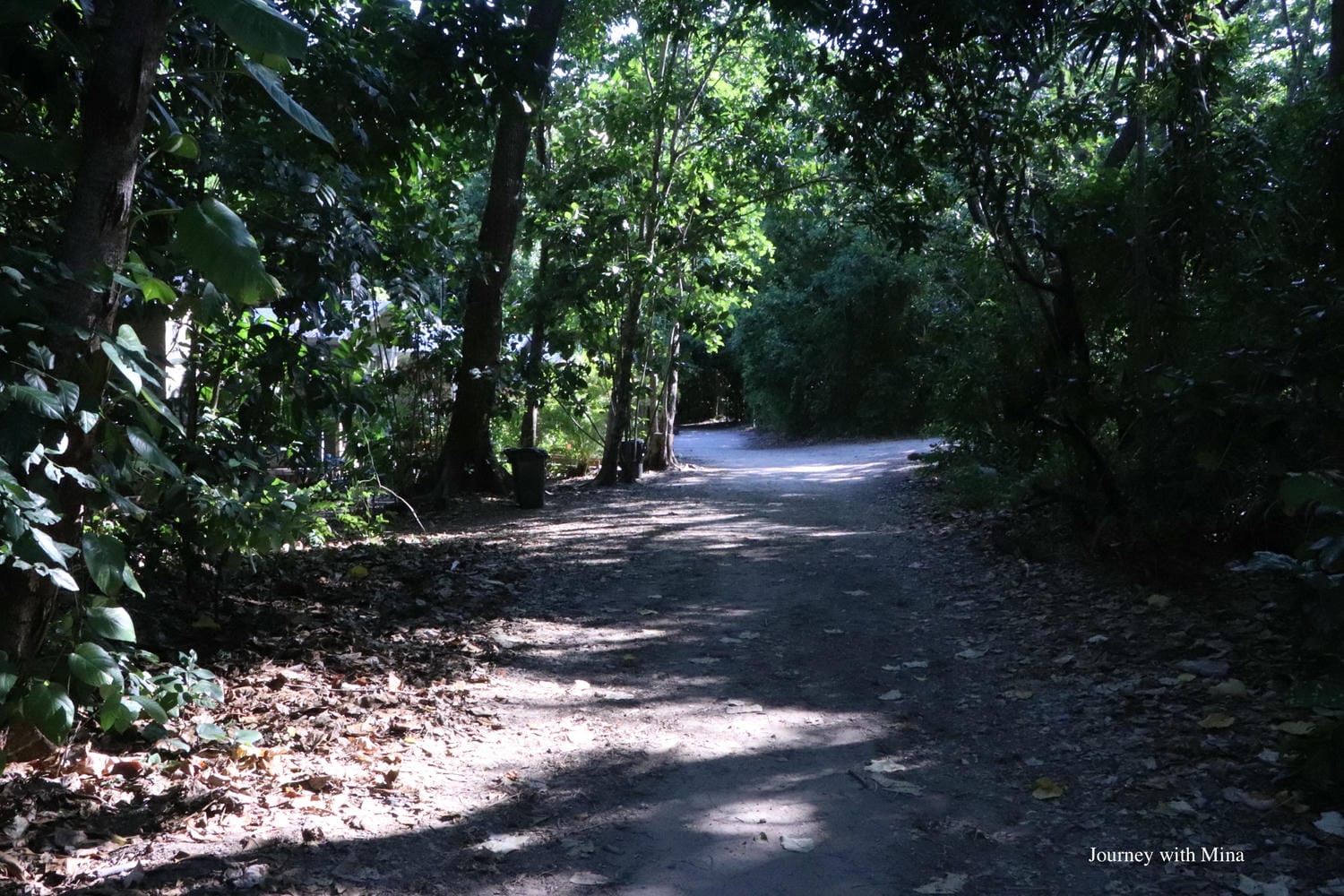 【大堡礁潛水】凱恩斯翡翠島 Fitzroy Island 體驗世界級珊瑚浮潛!超完整遊記攻略 - 第27張圖 翡翠島fitzroy island