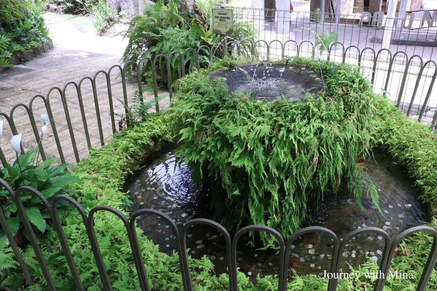 凱恩斯天空之城-帕羅尼拉公園 Cairns Paronella Park