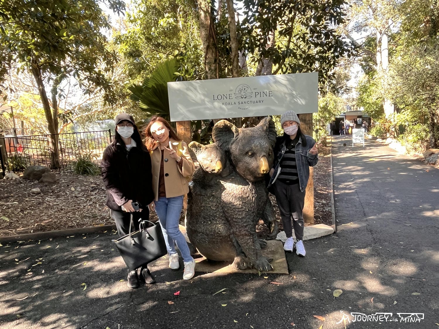 【布里斯本龍柏動物園】Lone Pine Zoo門票、交通資訊、必看表演、一日遊遊記 - 第8張圖 龍柏動物園 Lone pine zoo