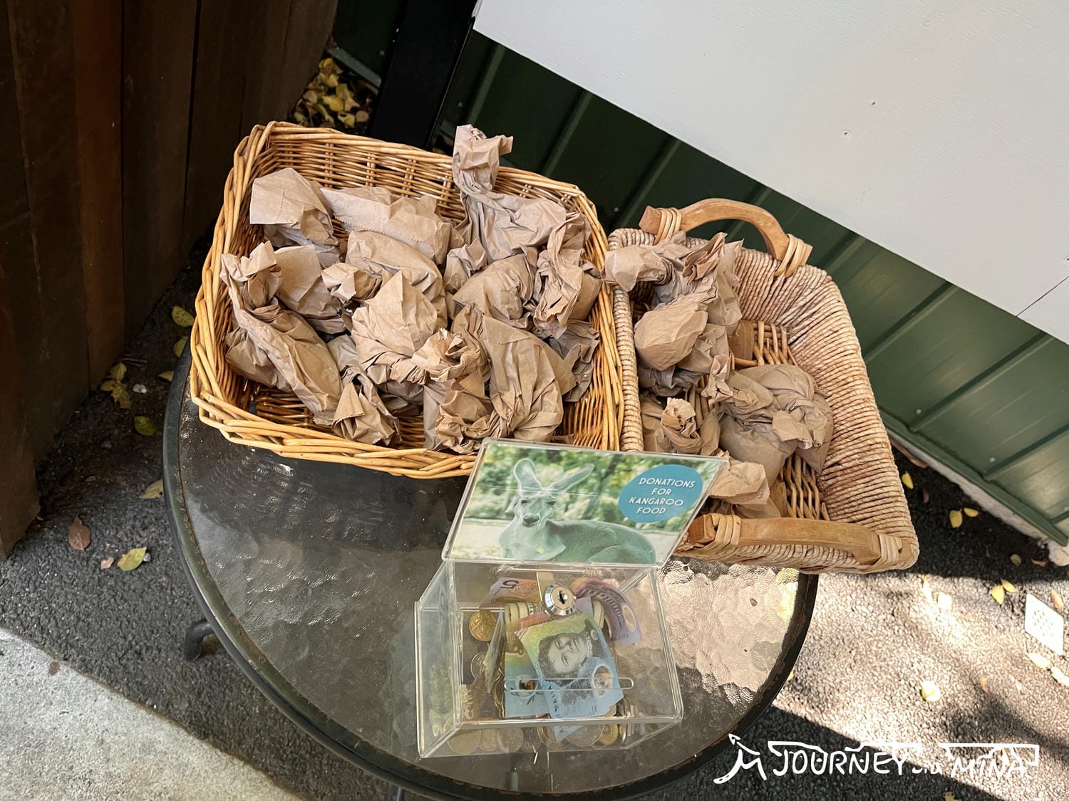 【布里斯本龍柏動物園】Lone Pine Zoo門票、交通資訊、必看表演、一日遊遊記 - 第11張圖 龍柏動物園Lone pine zoo