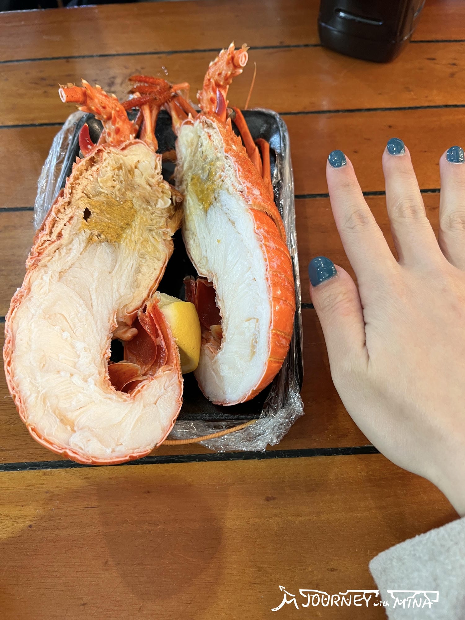 【雪梨魚市場】Fish market 體驗澳洲海鮮之鄉!生蠔、炸魚薯條 - 第8張圖