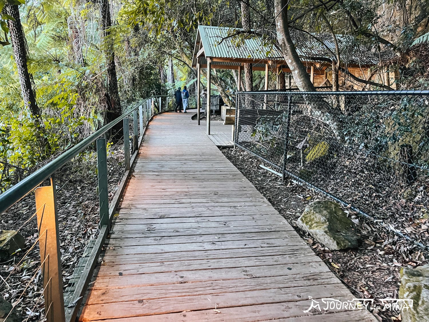 藍山景觀世界步道 Scenic World walkway