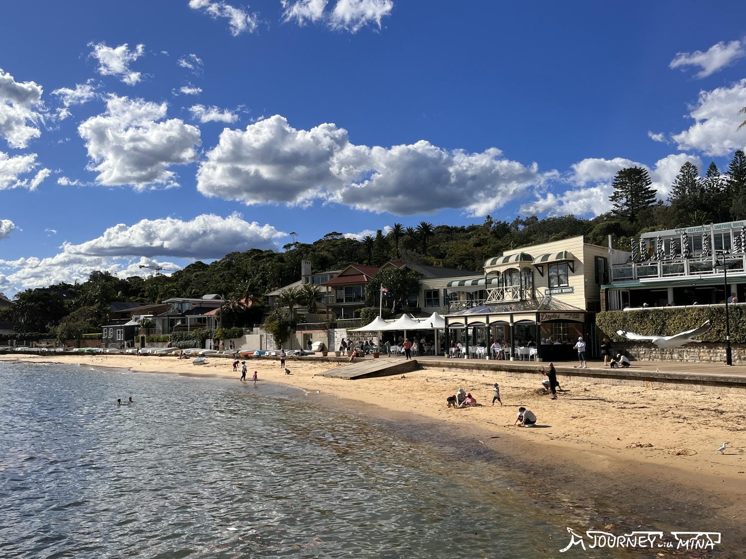 【雪梨近郊景點】屈臣氏灣Watson bay/美食/秘境海灘/住宿/交通 - 第10張圖 屈臣氏灣(Watson bay)