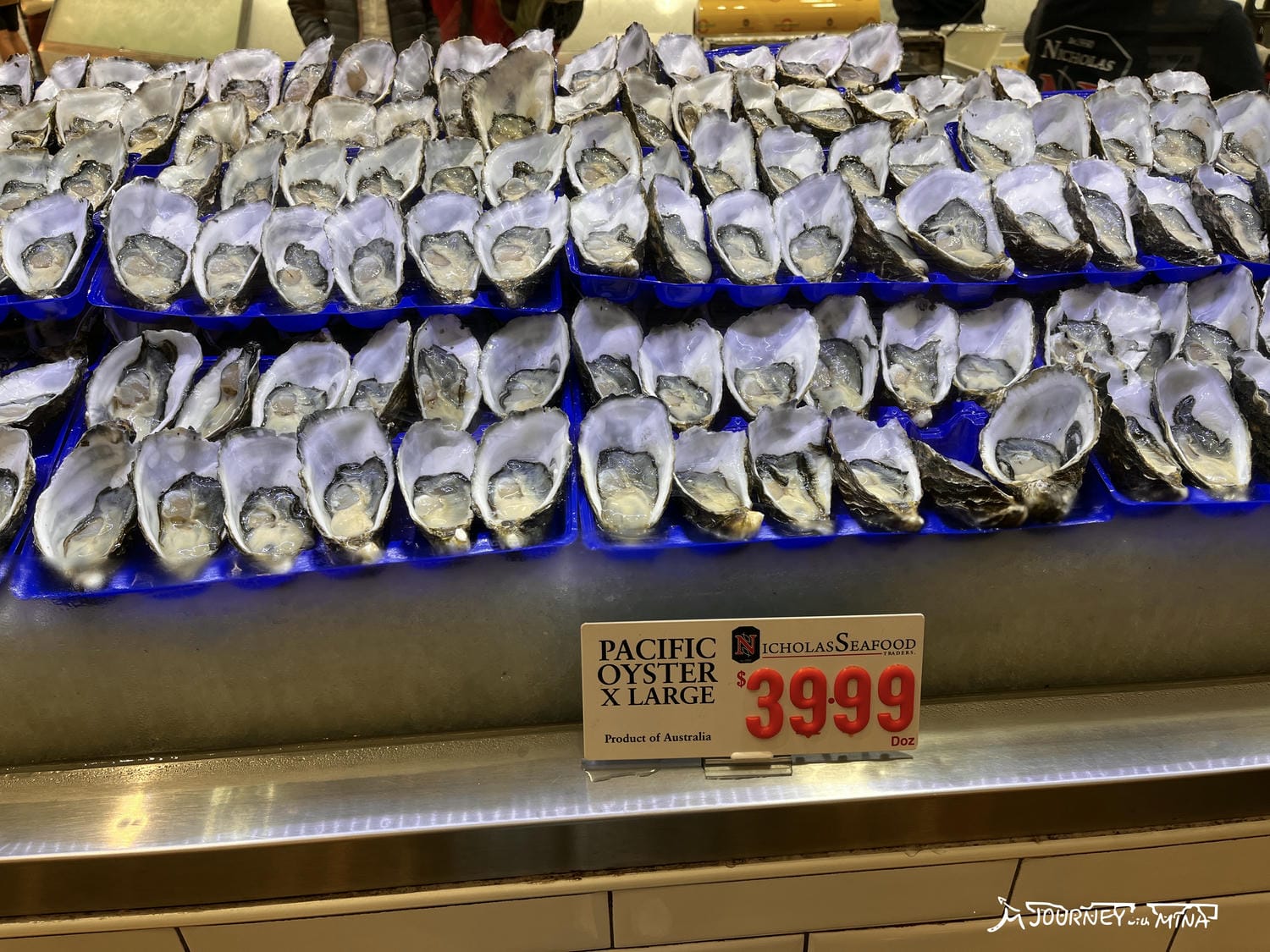 【雪梨魚市場】Fish market 體驗澳洲海鮮之鄉!生蠔、炸魚薯條 - 第11張圖 雪梨魚市場(Sydney Fish Market)