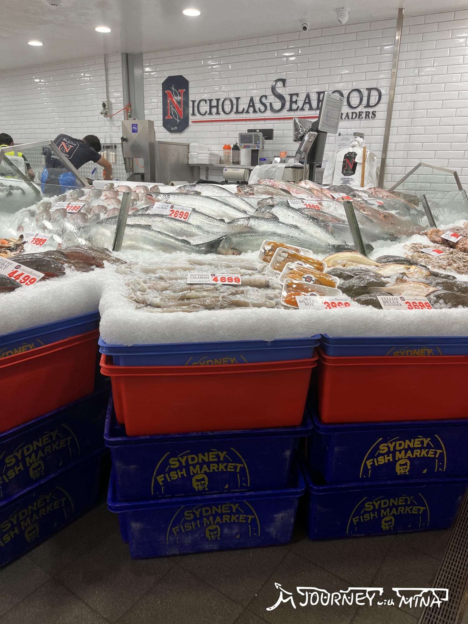 【雪梨魚市場】Fish market 體驗澳洲海鮮之鄉!生蠔、炸魚薯條 - 第6張圖 雪梨魚市場(Sydney Fish Market)
