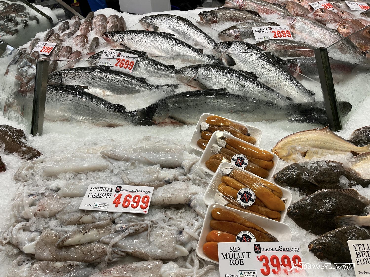 【雪梨魚市場】Fish market 體驗澳洲海鮮之鄉!生蠔、炸魚薯條 - 第5張圖 雪梨魚市場(Sydney Fish Market)