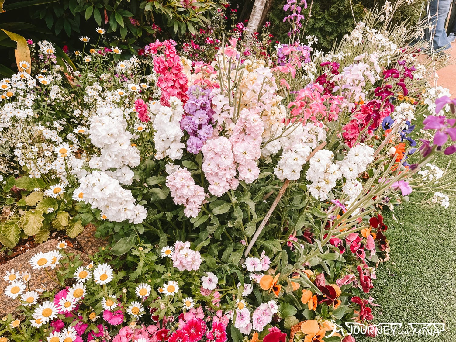 【Toowoomba花展】9-10月限定布里斯本近郊景點! Carnival of flowers - 第15張圖 Toowoomba花展