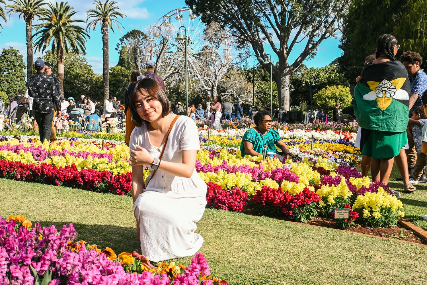 【Toowoomba花展】9-10月限定布里斯本近郊景點! Carnival of flowers - 第2張圖 Toowoomba花展