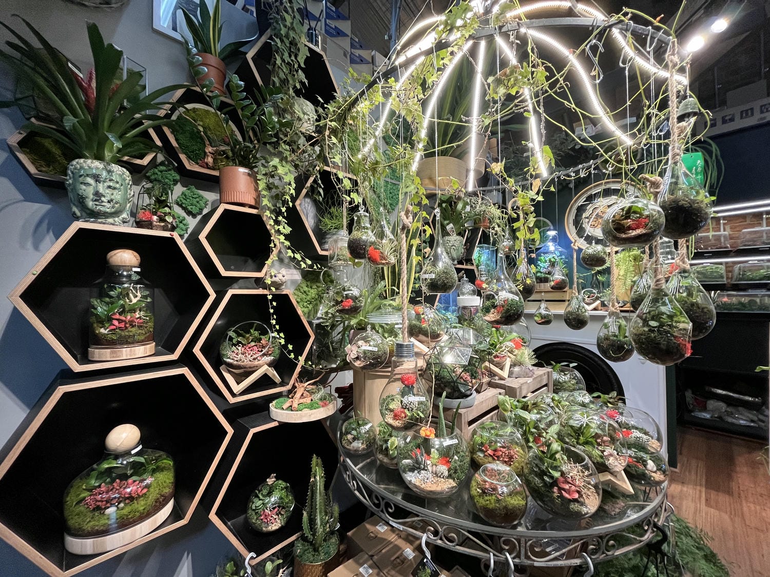 南墨爾本市場美食 South melbourne market food
