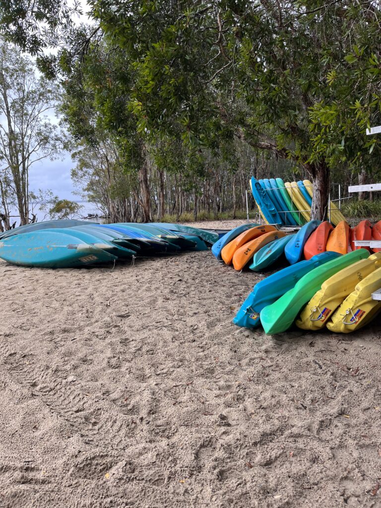 澳洲露營Noosa Heads kayak kanoeing