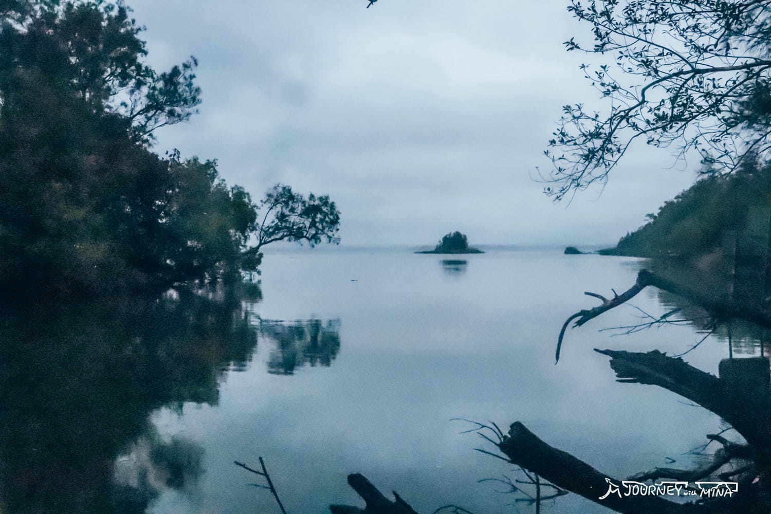 澳洲露營Noosa Heads bush walk
