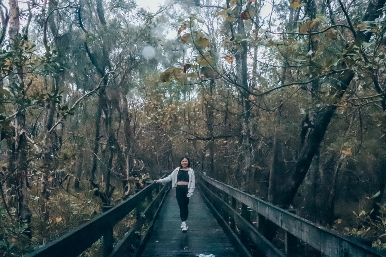 澳洲露營Noosa Heads bush walk
