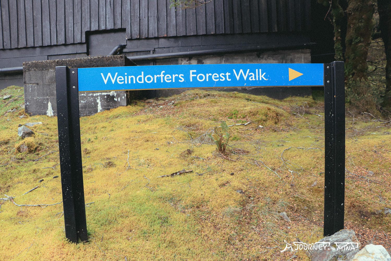 塔斯馬尼亞搖籃山景點路線 Tasmania cradle mountain