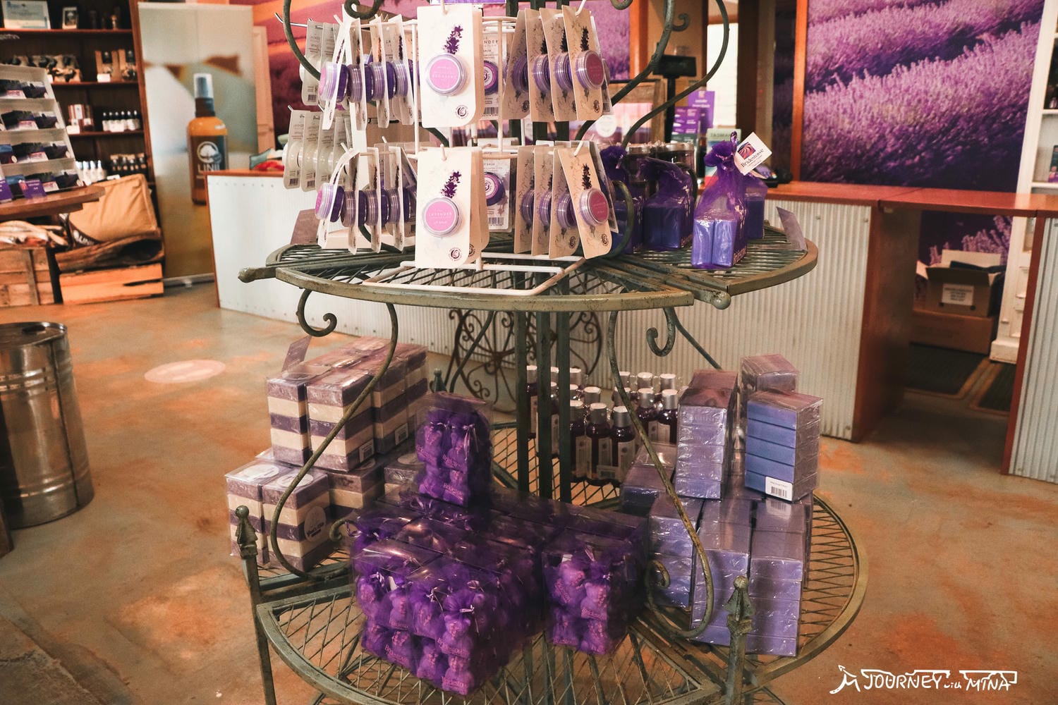 塔斯馬尼亞薰衣草 Bridestowe Lavender Farm