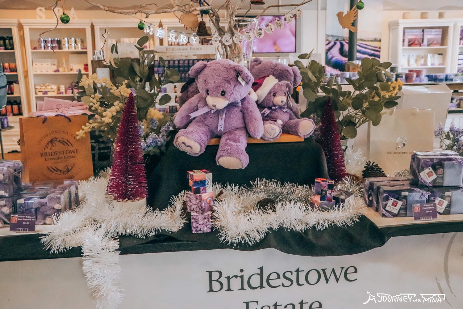 塔斯馬尼亞薰衣草 Bridestowe Lavender Farm