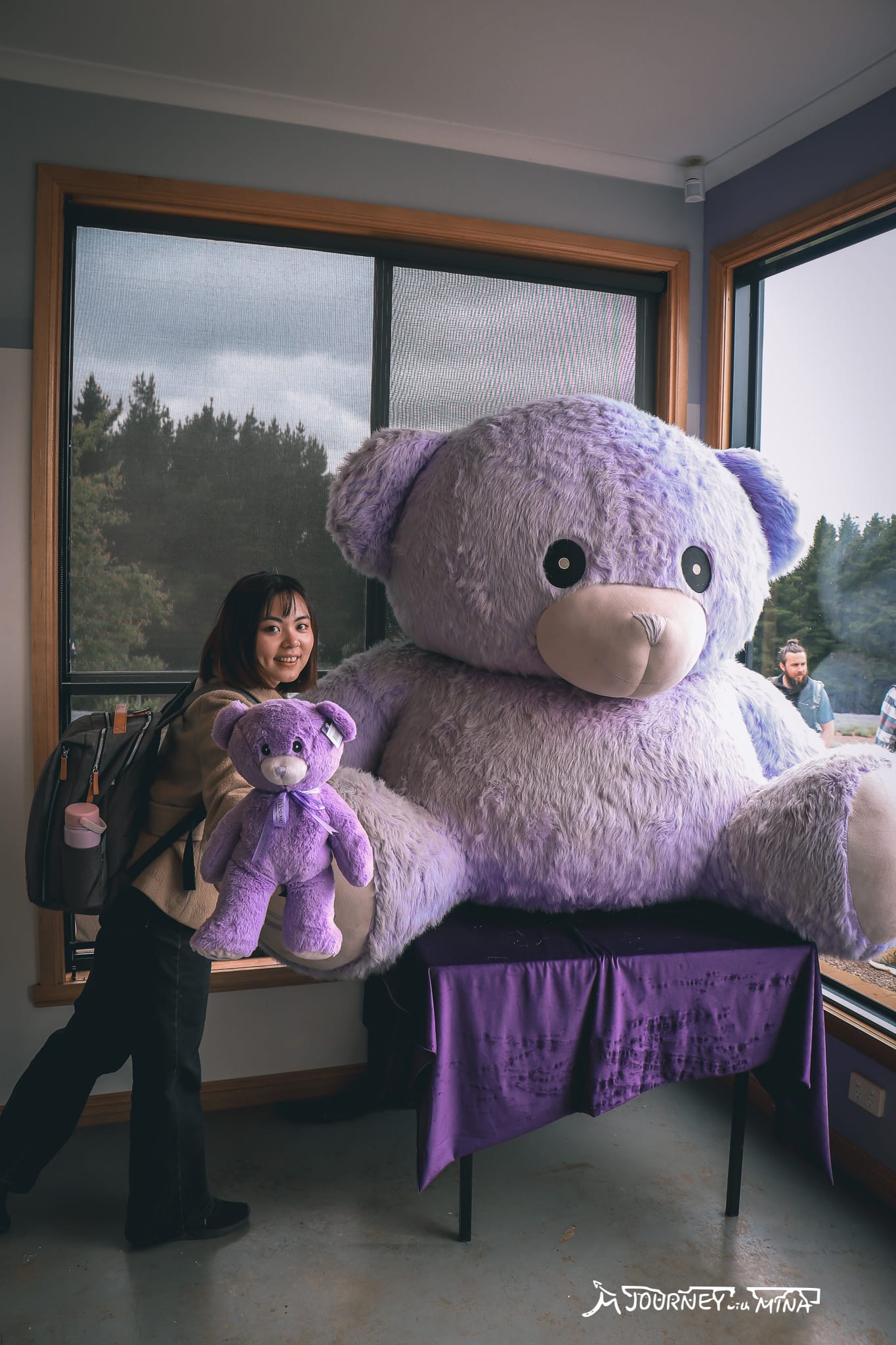 塔斯馬尼亞薰衣草 Bridestowe Lavender Farm