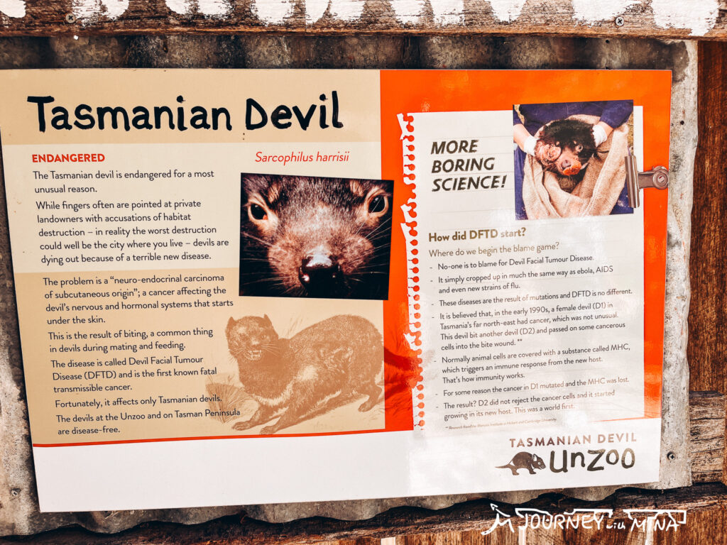 Tasmanian Devil Unzoo 塔斯馬尼亞惡魔動物園