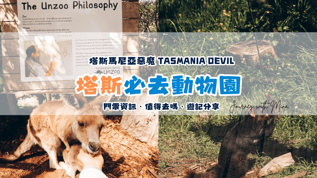Tasmania Devil
