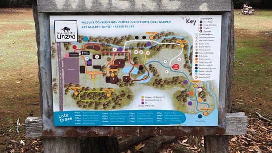 動物園園區地圖