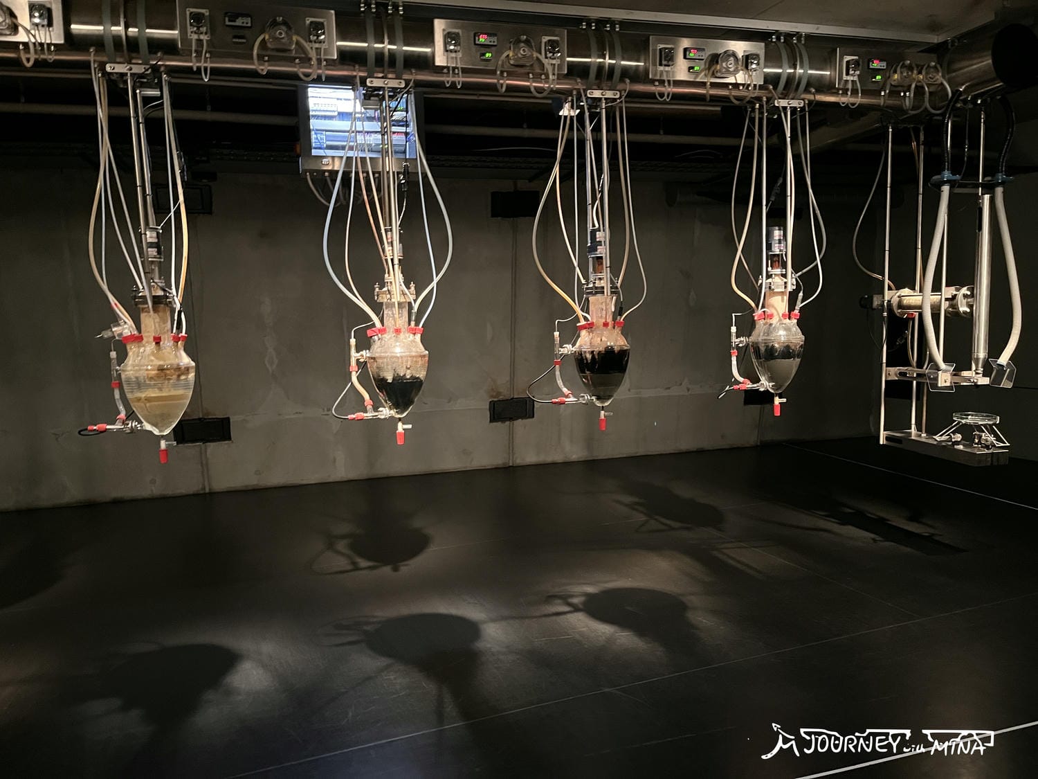 【MONA 新舊藝術博物館】塔斯馬尼亞景點介紹、性與死亡、傳統與現代的融合 Museum of old and new art - 第15張圖 塔斯馬尼亞 MONA 新舊藝術博物館 Museum of old and new art