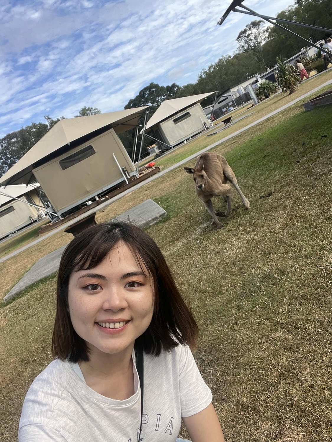 brisbane_sunshine coast_noosa heads glamping site