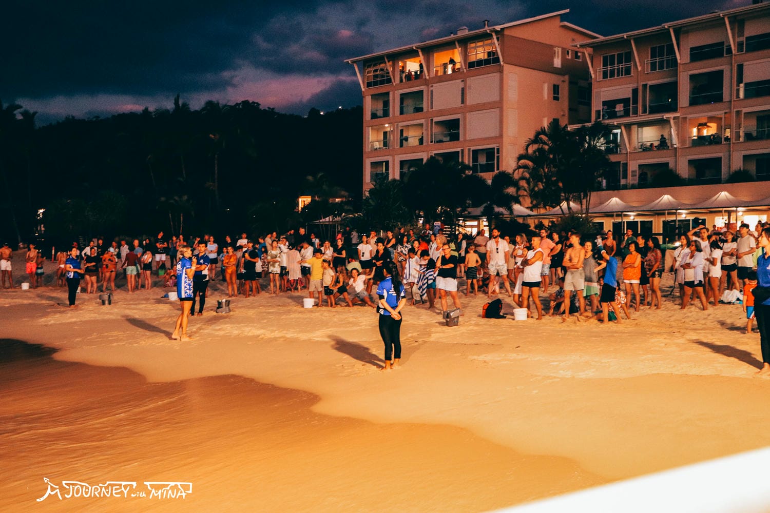 【摩頓島一日遊】一生必去餵海豚行程!船票/交通/必玩行程/住宿攻略Tangalooma island resort - 第16張圖 【摩頓島】布里斯本外島天閣露瑪度假村!必玩水上設施、住宿推介 Tangalooma island resort