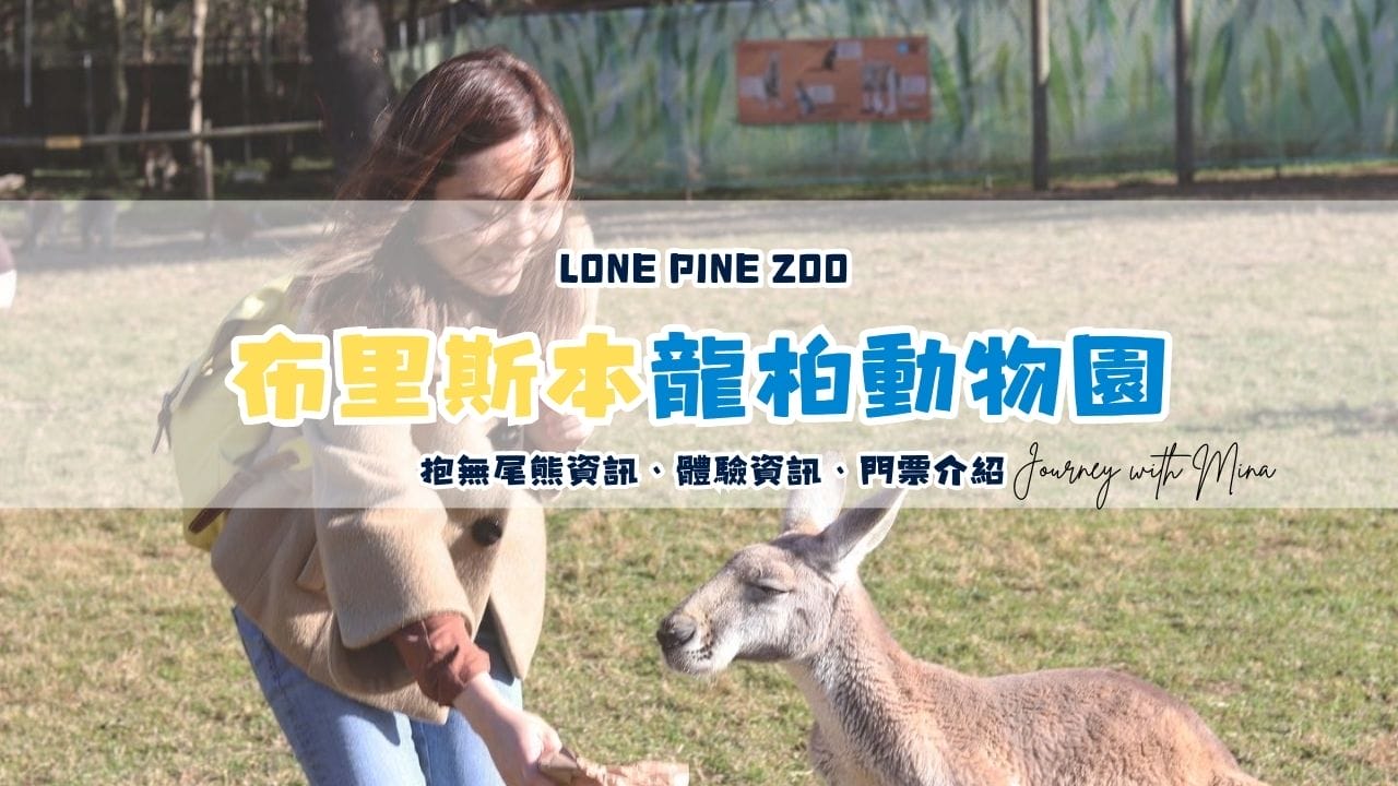 澳洲最值得去的動物園？布里斯本龍柏一起抱無尾熊餵袋鼠吧！ Lone Pine Zoo