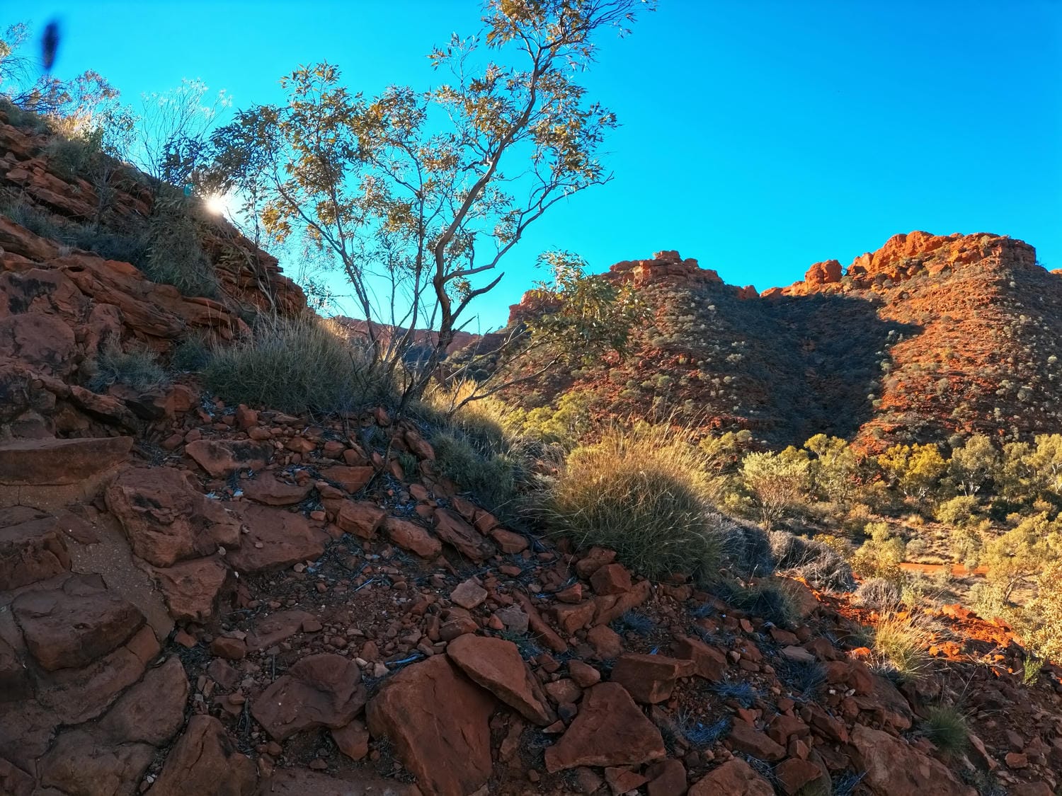 【烏魯魯國王峽谷】 Kings Canyon 一日遊健行路線怎麼走?登山路線/必拍景點/必雷Tips - 第5張圖 烏魯魯景點【國王峽谷】 Kings Canyon 一日遊健行路線怎麼走?