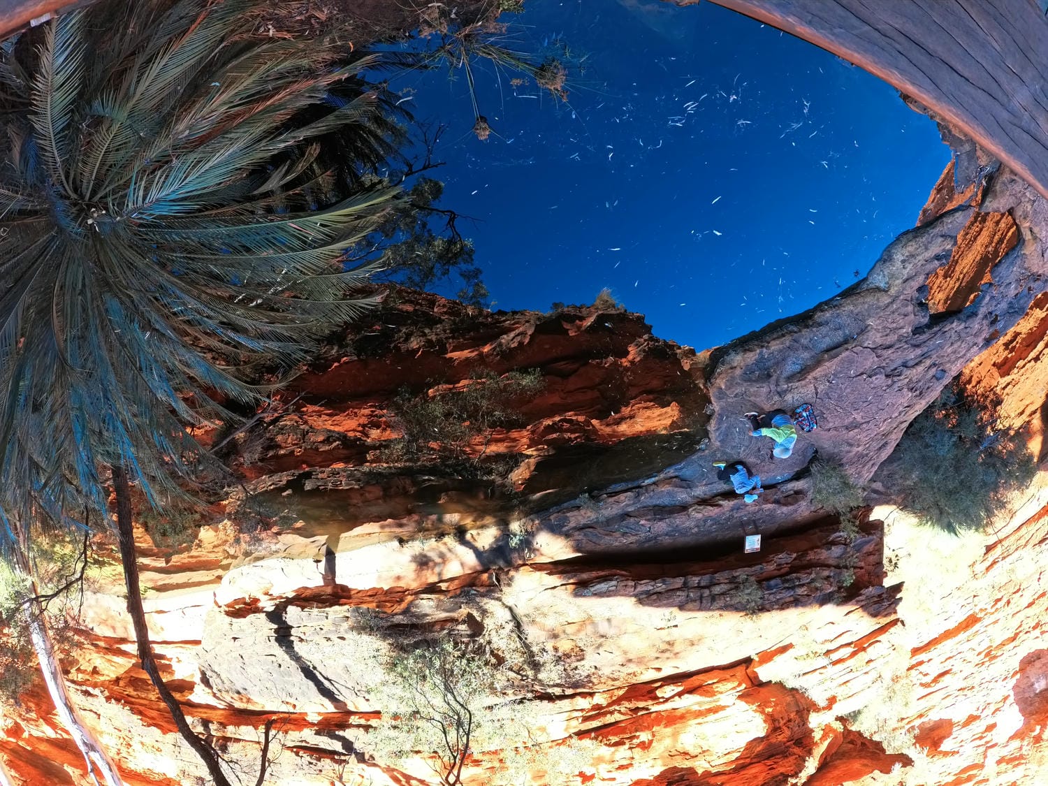 【烏魯魯國王峽谷】 Kings Canyon 一日遊健行路線怎麼走?登山路線/必拍景點/必雷Tips - 第11張圖 烏魯魯景點【國王峽谷】 Kings Canyon 一日遊健行路線怎麼走?