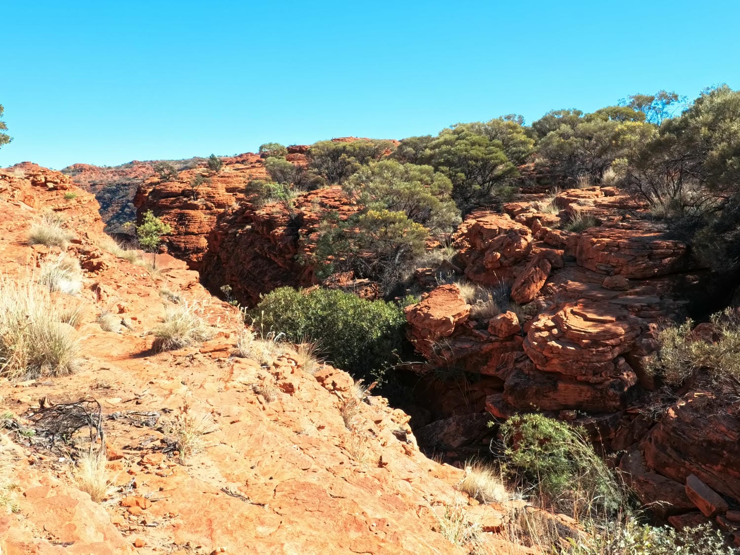 【烏魯魯國王峽谷】 Kings Canyon 一日遊健行路線怎麼走?登山路線/必拍景點/必雷Tips - 第14張圖 烏魯魯景點【國王峽谷】 Kings Canyon 一日遊健行路線怎麼走?