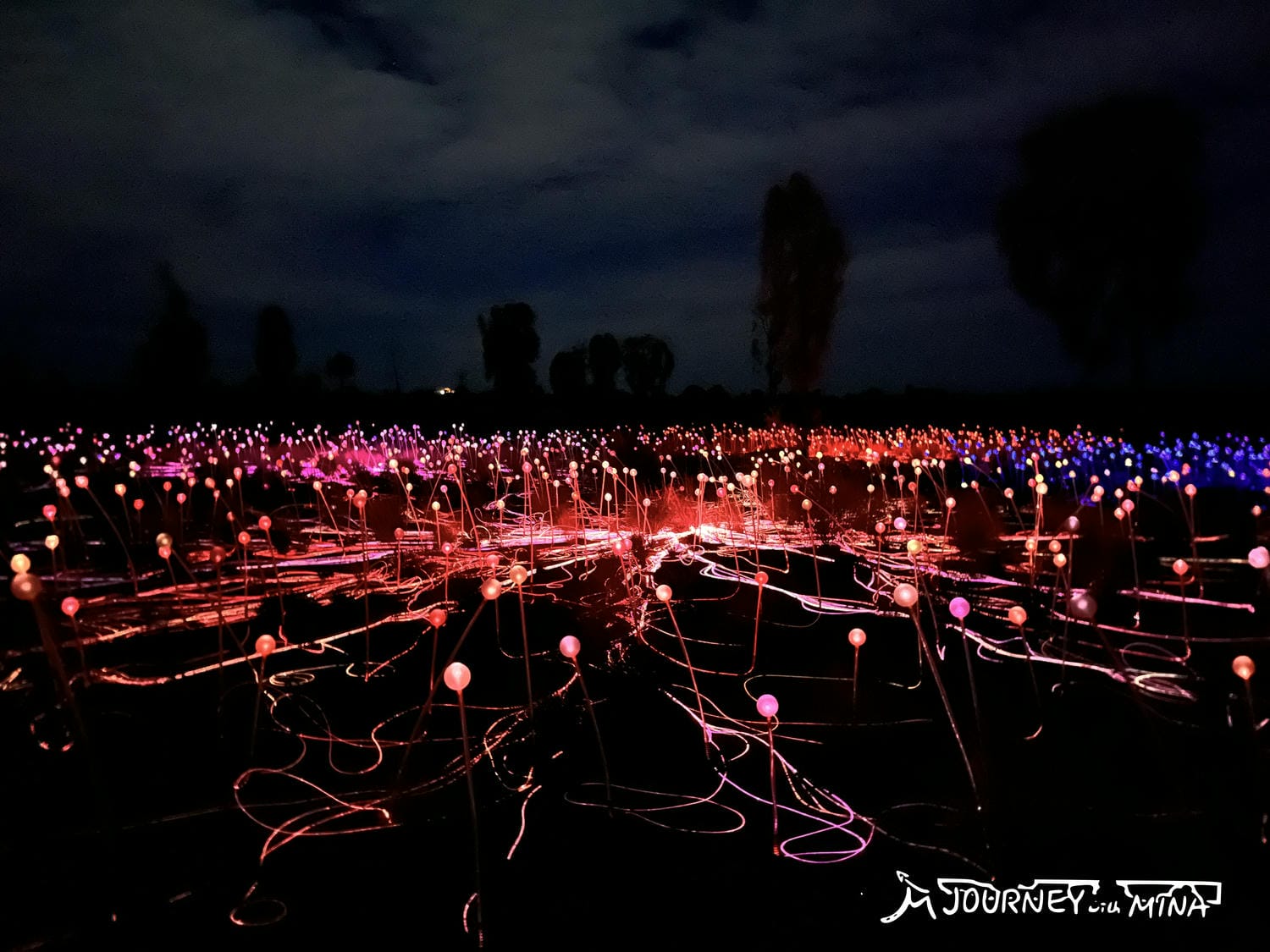 【烏魯魯光展】必去體驗 Field of Light 星野之園多值得去? - 第7張圖 烏魯魯 Field of Light 星野之園光展
