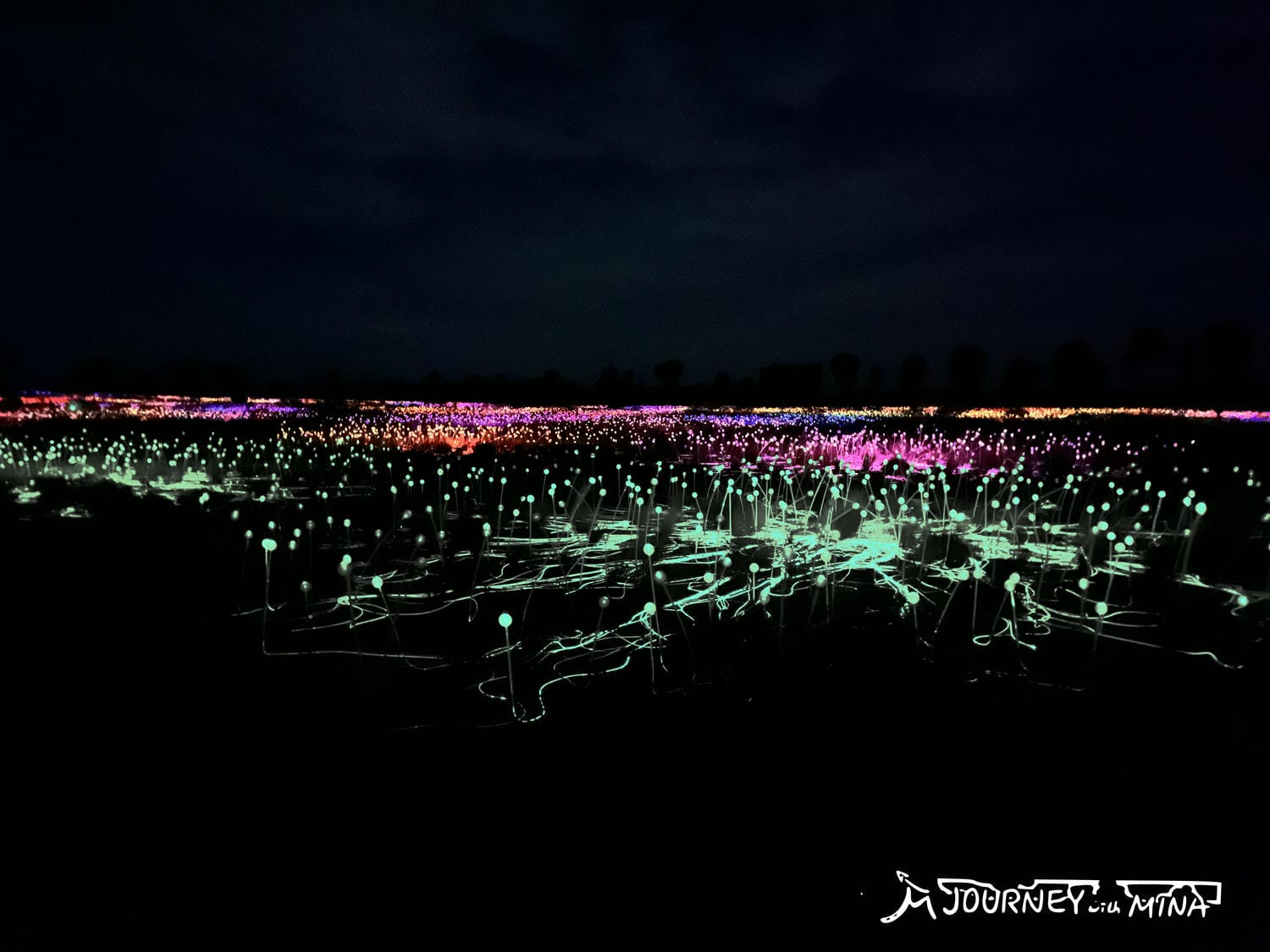 【烏魯魯光展】必去體驗 Field of Light 星野之園多值得去? - 第4張圖 烏魯魯 Field of Light 星野之園光展