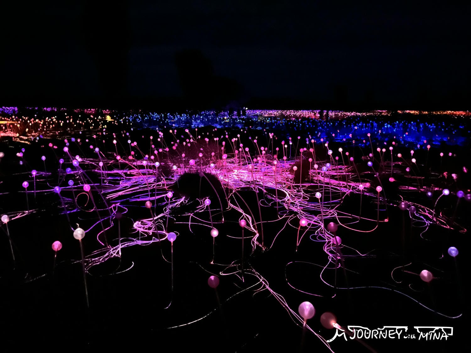 【烏魯魯光展】必去體驗 Field of Light 星野之園多值得去? - 第3張圖 烏魯魯 Field of Light 星野之園光展