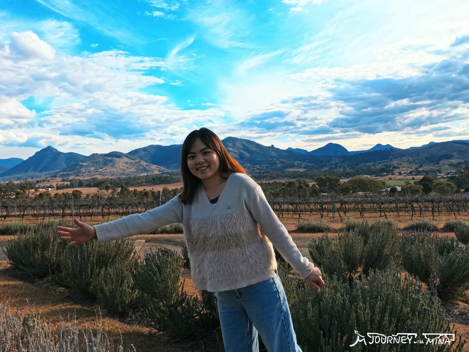 布里斯本近郊銀河觀星私房景點!2天1夜木瓜湖 Lake Moogerah 追星吧~ - 第6張圖 薰衣草農場 Kooroomba Vineyards and Lavender Farm
