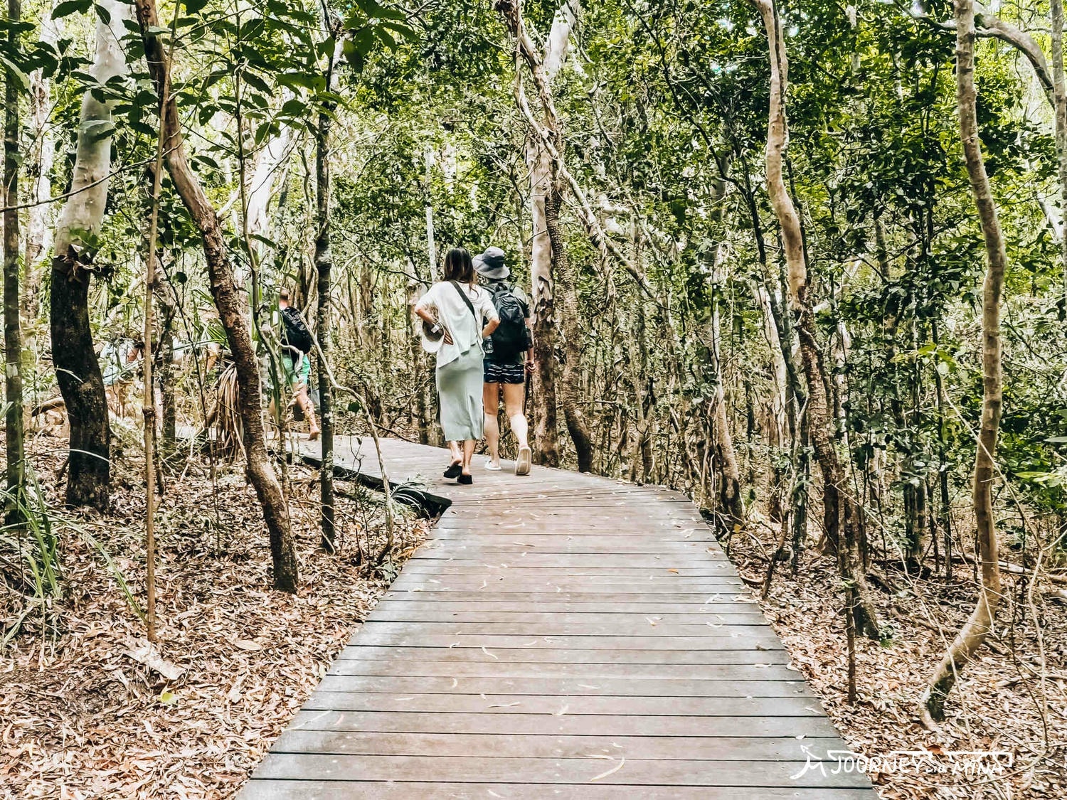 聖靈群島一日遊怎麼玩？澳洲秘境白天堂、希爾灣 Whitehaven beach