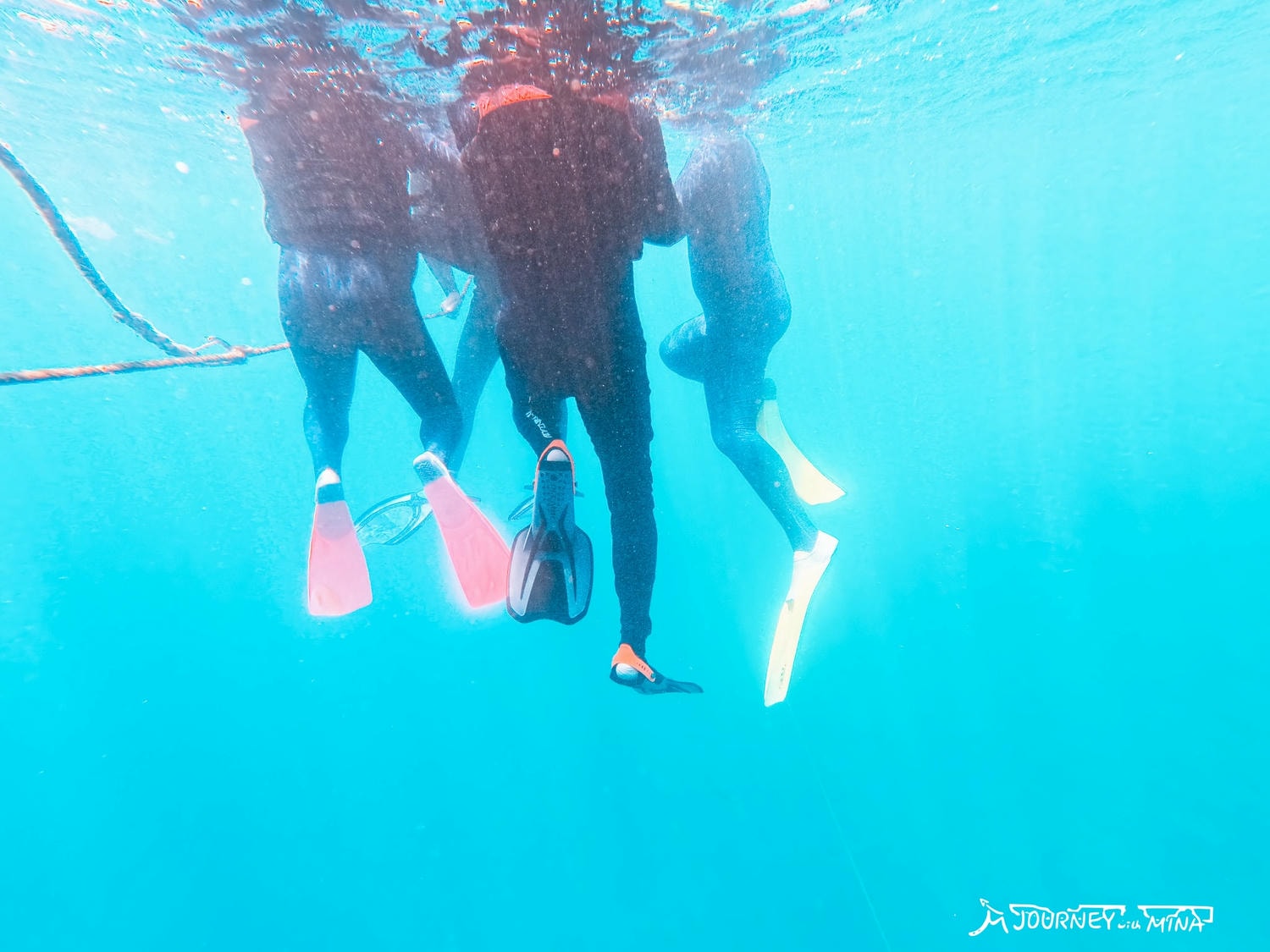 【聖靈群島大堡礁】搭遊艇前往無人秘境?珊瑚、海龜、絕美夕陽 Great Barrier Reef - 第14張圖 【聖靈群島大堡礁】搭遊艇前往無人秘境?珊瑚、海龜、絕美夕陽 Great Barrier Reef