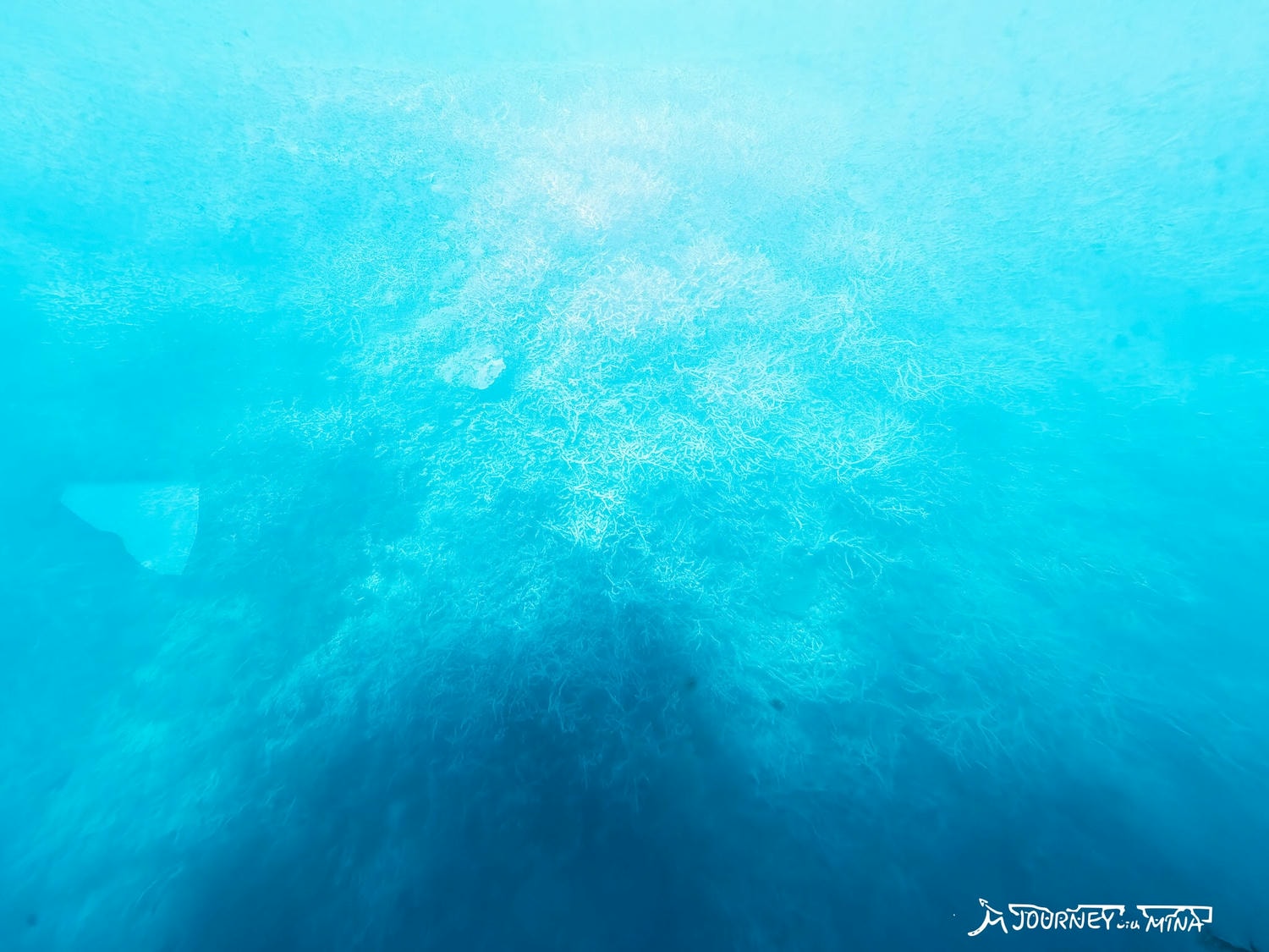【聖靈群島大堡礁】搭遊艇前往無人秘境?珊瑚、海龜、絕美夕陽 Great Barrier Reef - 第18張圖 【聖靈群島大堡礁】搭遊艇前往無人秘境?珊瑚、海龜、絕美夕陽 Great Barrier Reef