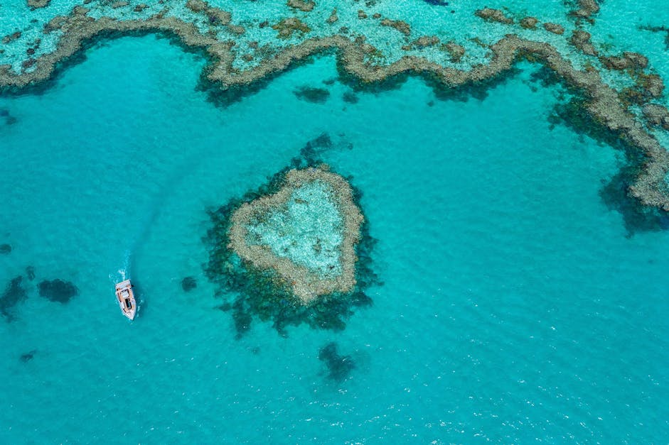 【聖靈群島大堡礁】搭遊艇前往無人秘境？珊瑚、海龜、絕美夕陽 Great Barrier Reef