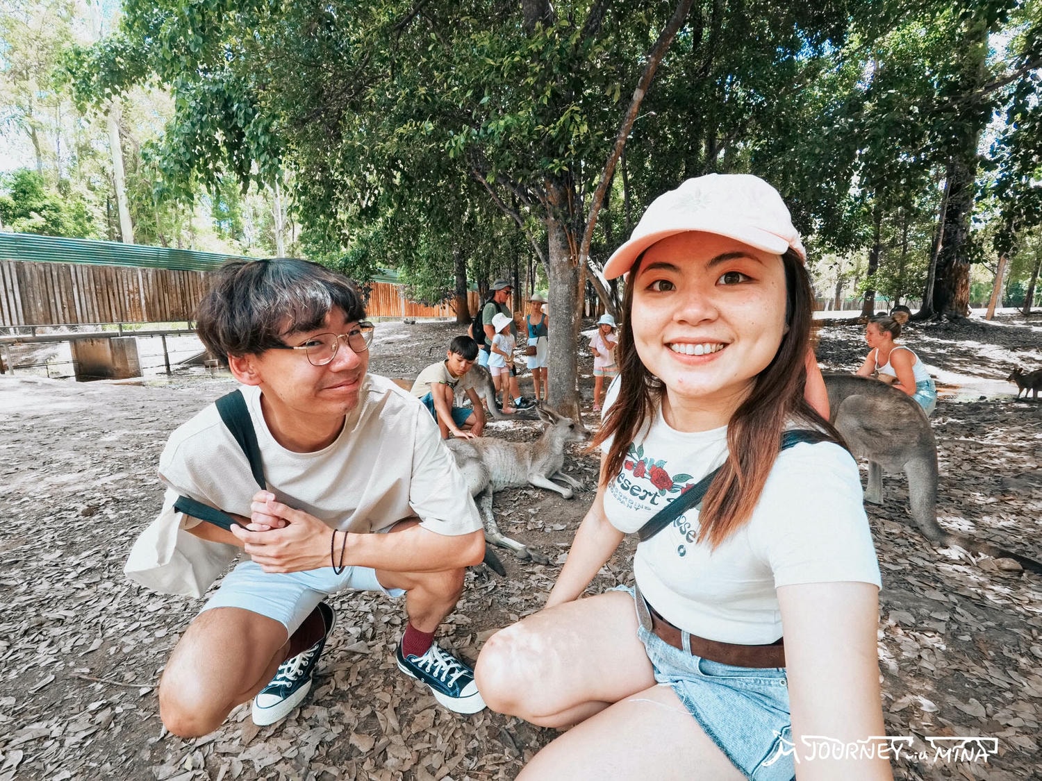 【澳洲動物園推薦】全澳最大Australia Zoo 門票、表演、交通全攻略!鱷魚先生、抱無尾熊、非洲動物 - 第14張圖